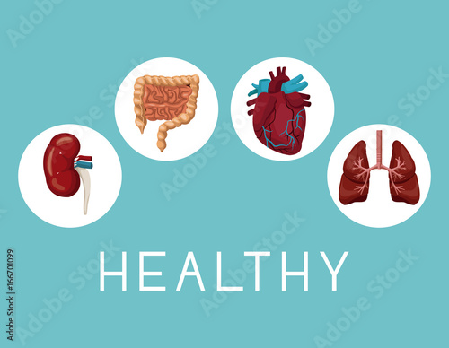 color background with icons circular frame intern organs human body text healthy