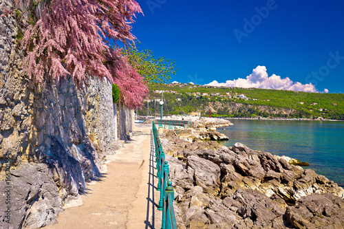 Lungomare coast famous walkway in Opatija photo