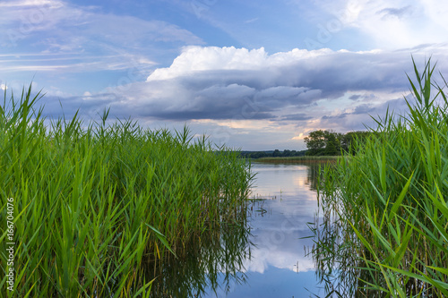 Beautiful lake landscape of the lake Breiter Luzin in Mecklenburg-Western Pomerania, Germany