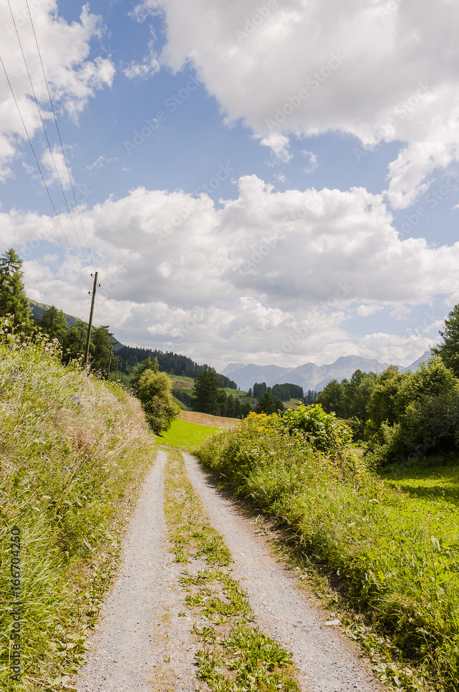 Fototapeta premium Ardez, Dorf, Ftan, Wanderweg, Feldweg, via Engiadina, Alpen, Engadin, Unterengadin, Ruine, Landwirtschaft, Bergkräuter, Bergwiese, Graubünden, Sommer, Schweiz