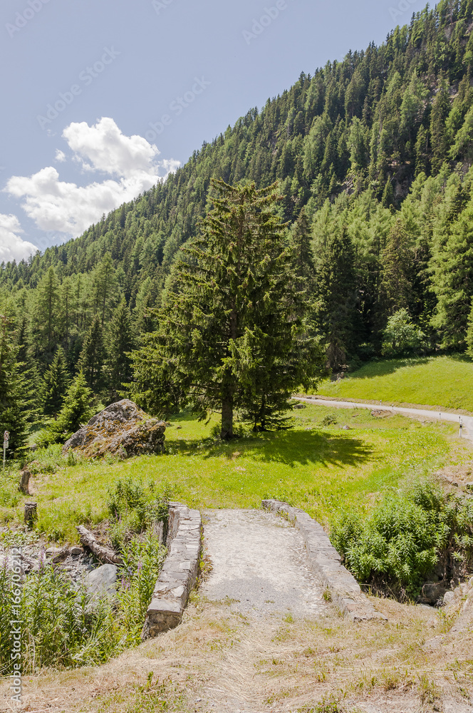 Obraz premium Ftan, Ardez, Wanderweg, Steinbrücke, Engadin, Unterengadin, alte Brücke, Tasnan, Fluss, Sommer, Graubünden, Nationalpark, Schweiz