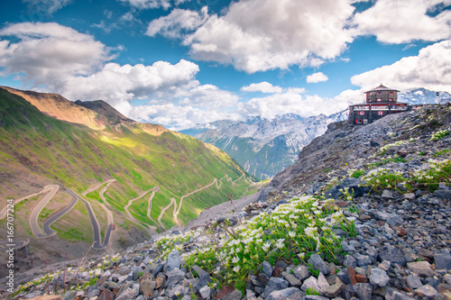 Italy, Stelvio National Park. Famous road to Stelvio Pass in Ortler Alps. Alpine landscape.