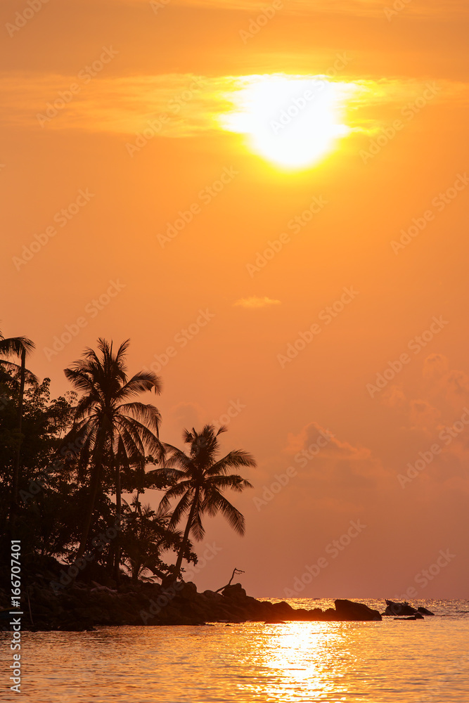 Palm trees silhouette at the sunset, Thailand