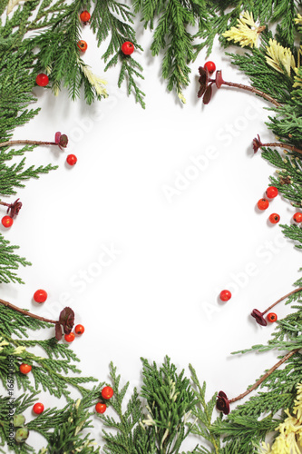 Evergreen fir tree decoration for christmas card isolated, new year pattern, copyspace white. Arrangement with succulents and red berries.