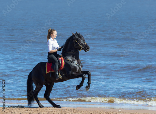 Woman riding horse on beach of sea. Stallion stands on hind legs.