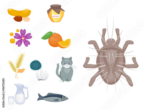 Allergy symbols disease healthcare food viruses health flat illness allergen symptoms disease information vector illustration.