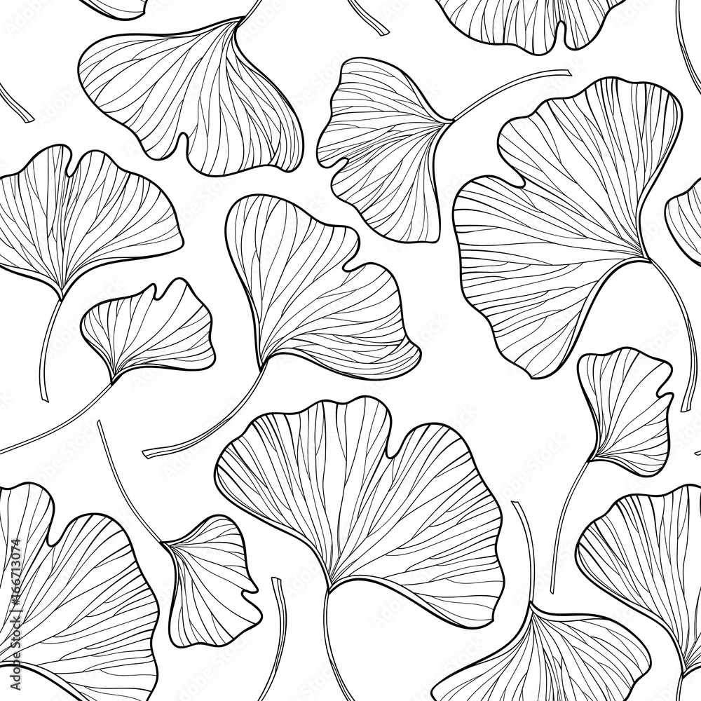 Vector seamless pattern with outline Gingko or Ginkgo biloba leaves in black on the white background. Floral pattern with Gingko foliage in contour style for summer design and coloring book. - obrazy, fototapety, plakaty 