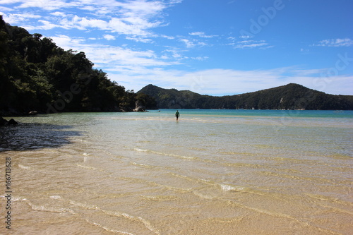 Abel Tasman Coastal Track