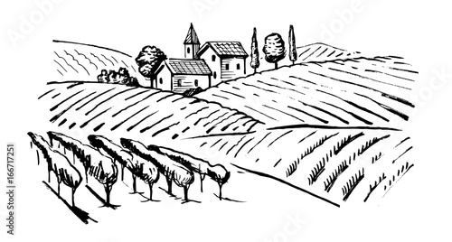 illustration of wineyard photo