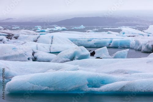  Icebergs floating in Jokulsarlon Lagoon by the southern coast of Iceland