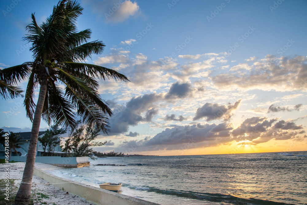 Palm Tree and Sunset by the Shore in Bahamas