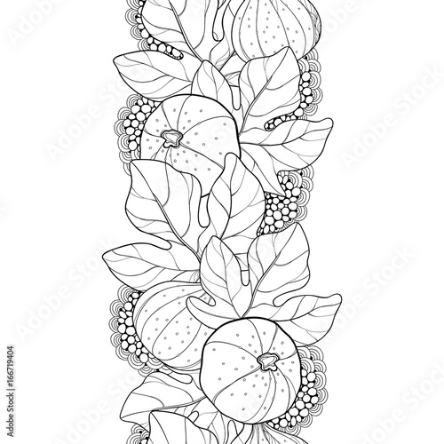 Vector seamless pattern with outline Common Fig or Ficus carica fruit and leaf in black on the white background. Vertical fruit pattern in contour style for exotic summer design and coloring book.