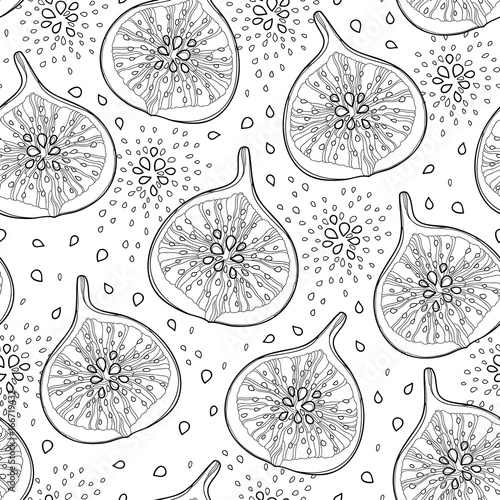 Vector seamless pattern with outline Common Fig or Ficus carica fruit in black on the white background. Fruit pattern with slice and seeds in contour style for exotic summer design and coloring book.