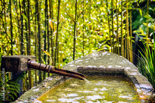 Japanese tea Garden photo