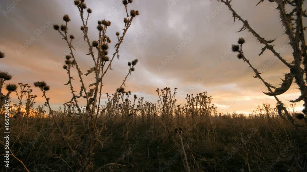 Sunset time lapse rising through the thistle on a slider Sunset time lapse rising through the thistle on a slider