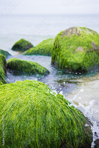 Mit Moos und Algen überzogene Steine am Strand von Rerik Ostsee mit Wasserspritzern