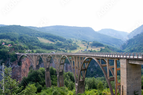 An old bridge over the Tara river