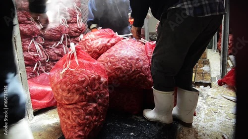 Fishermen move large bags of shrimp on boat