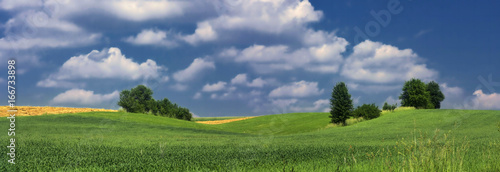 Panorama, landscape with fields, trees, greenery and blue sky with white clouds - classic