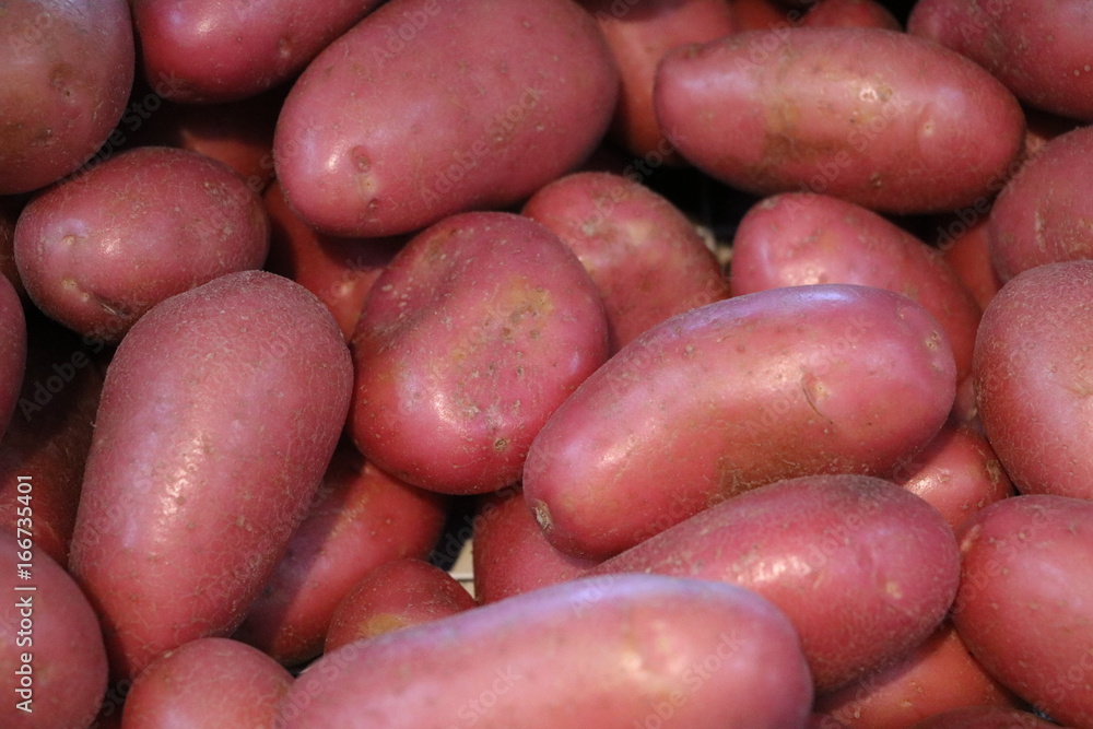Red potatoes at the weekly market in Fremantle, Australia Red potatoes at the weekly market in Fremantle, Australia