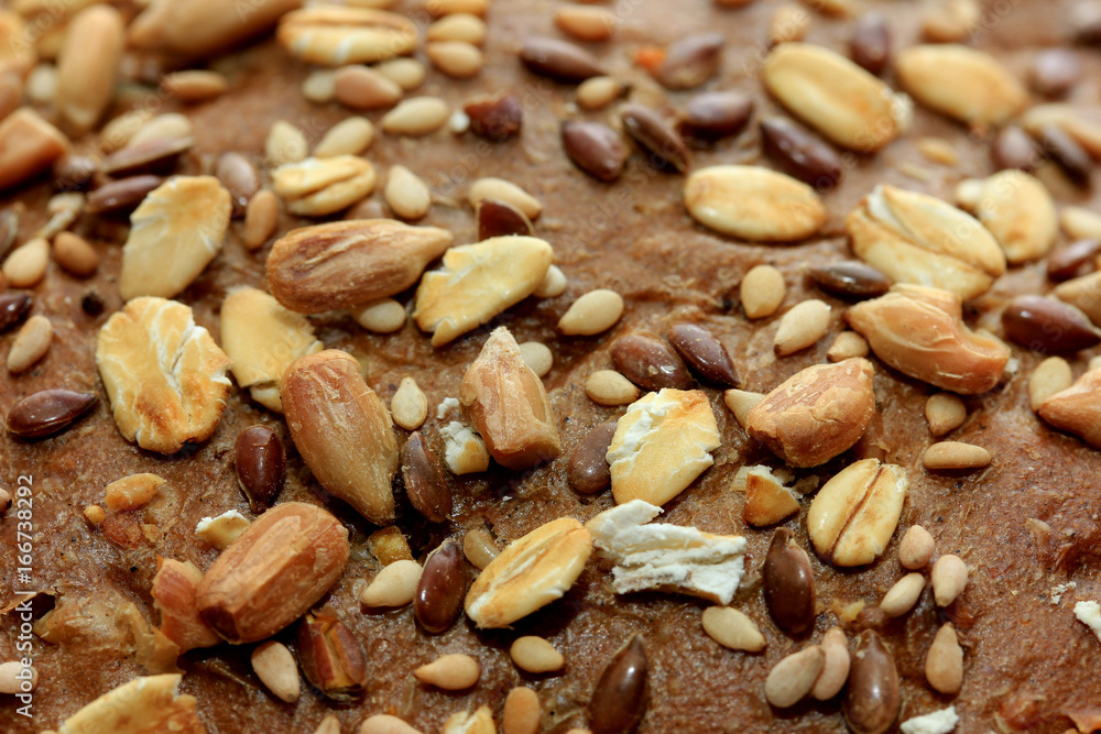 Whole grain sandwich, closeup Whole grain sandwich, closeup