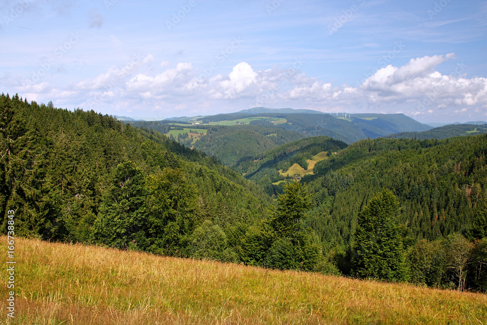 Scenic countryside landscape in the Black Forest: green summer mountain valley with forests, fields and old houses in Germany