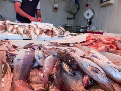 Принти на полотні Fish on the fishpond bench
