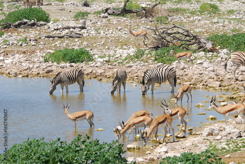 un apr  s midi en Namibie