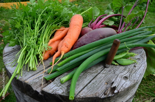 свежий урожай