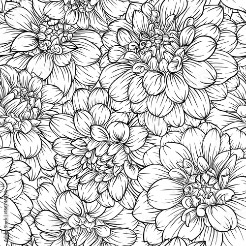 Wallpaper Mural beautiful monochrome black and white seamless background dahlia Hand-drawn. Torontodigital.ca