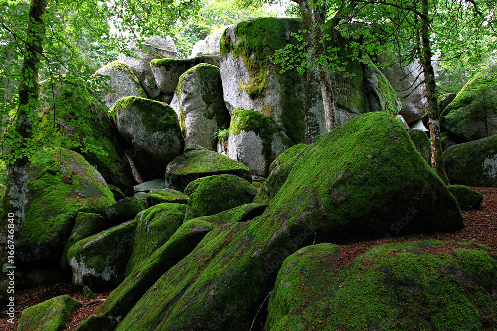 Rocks with green moss called Guenterfelsen in the Black Forest, Germany Rocks with green moss called Guenterfelsen in the Black Forest, Germany