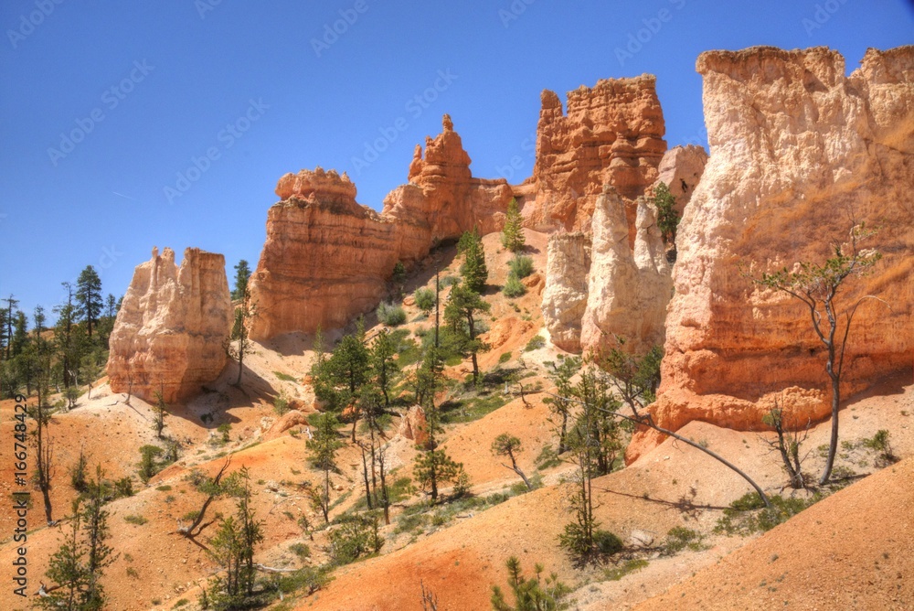 Hoodoos at Bryce on a Beautiful day