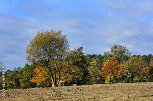 Autumn at Crater of Diamonds State Park