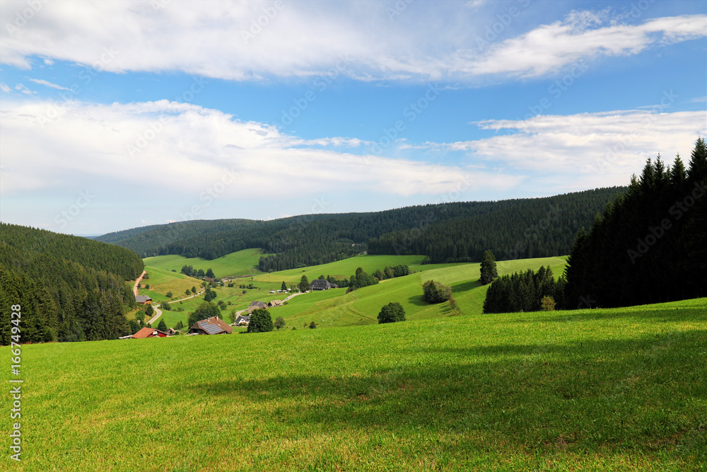 Obraz premium Scenic countryside landscape in the Black Forest: green summer mountain valley with forests, fields and old houses in Germany