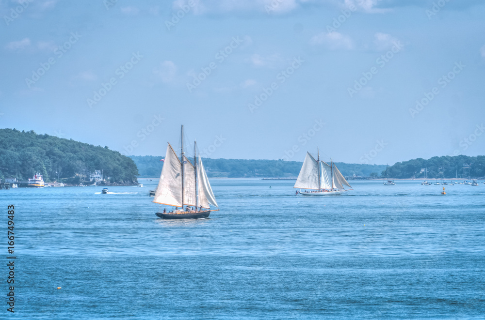 Fototapeta premium Schooners in the bay