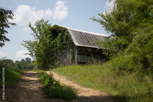 Country path to barn
