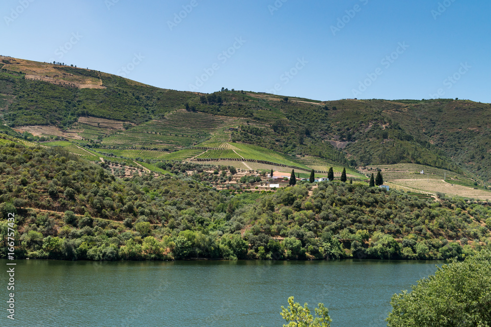 Point of view shot of terraced vineyards in Douro Valley Point of view shot of terraced vineyards in Douro Valley