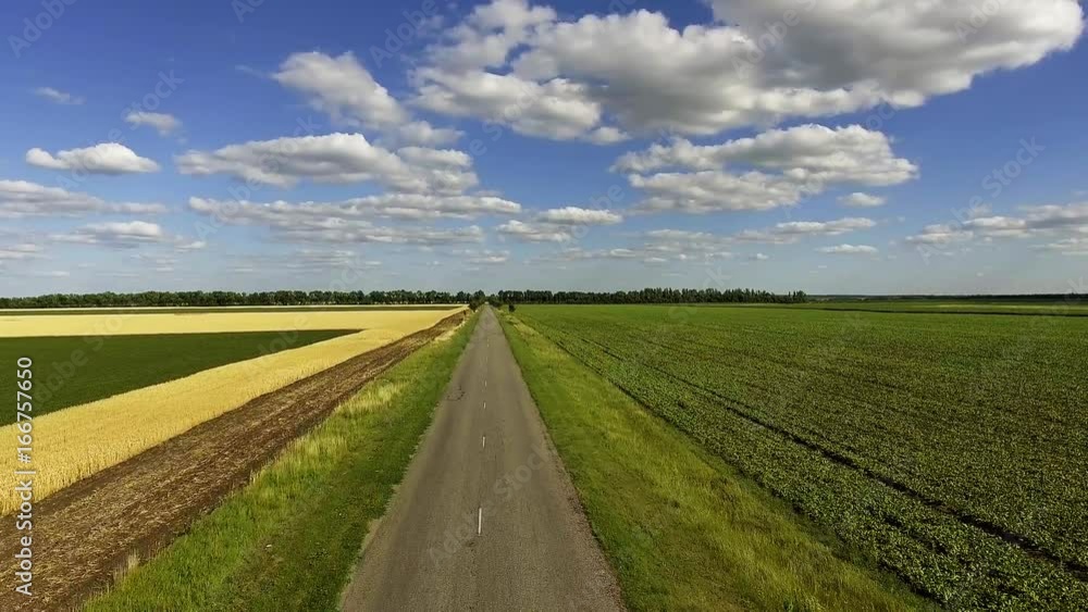 Aerial survey of roads between wheat fields and other crops Aerial survey of roads between wheat fields and other crops
