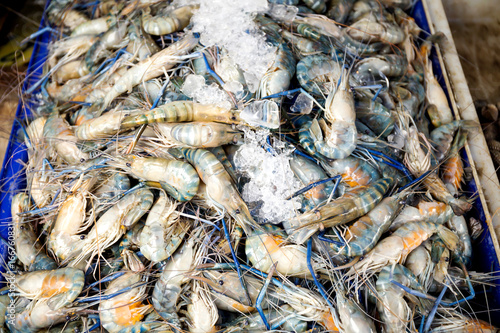 Shrimp in the fresh market