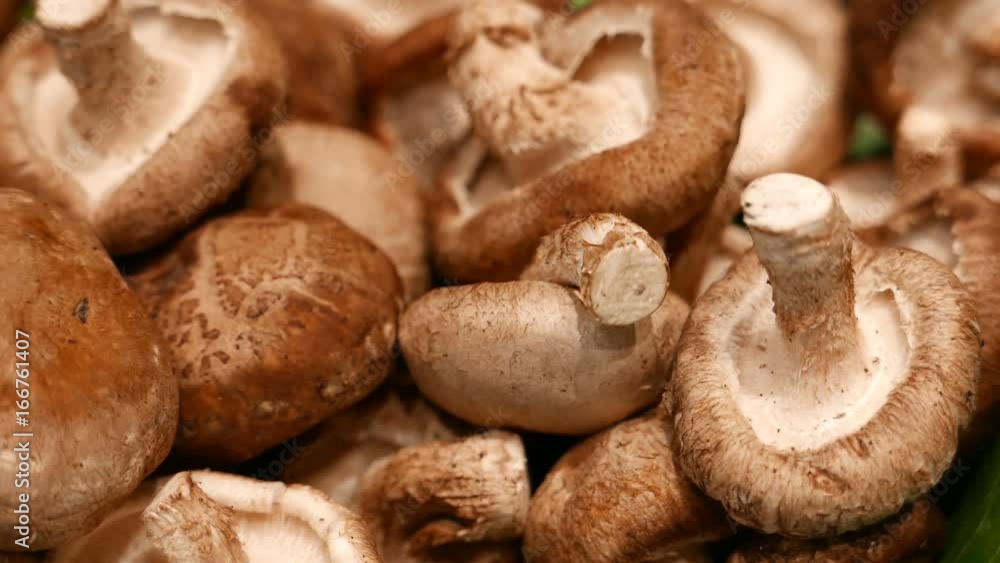fresh Shiitake mushroom in stall at supermarket fresh Shiitake mushroom in stall at supermarket