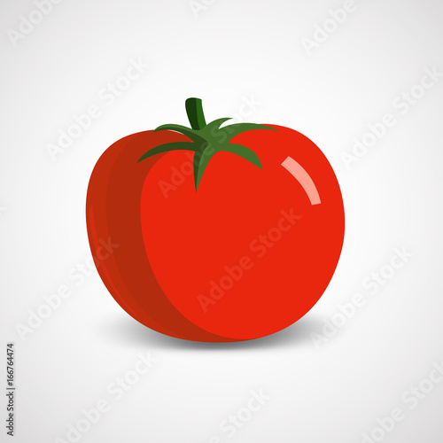 Vector illustration of a big ripe tomato on a white background