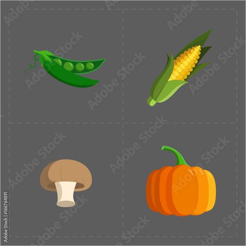 Colorful Vegetable Icon Set on Grey Background © marnikus