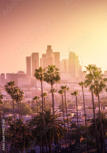 Murais de parede Beautiful sunset of Los Angeles downtown skyline and palm trees in foreground