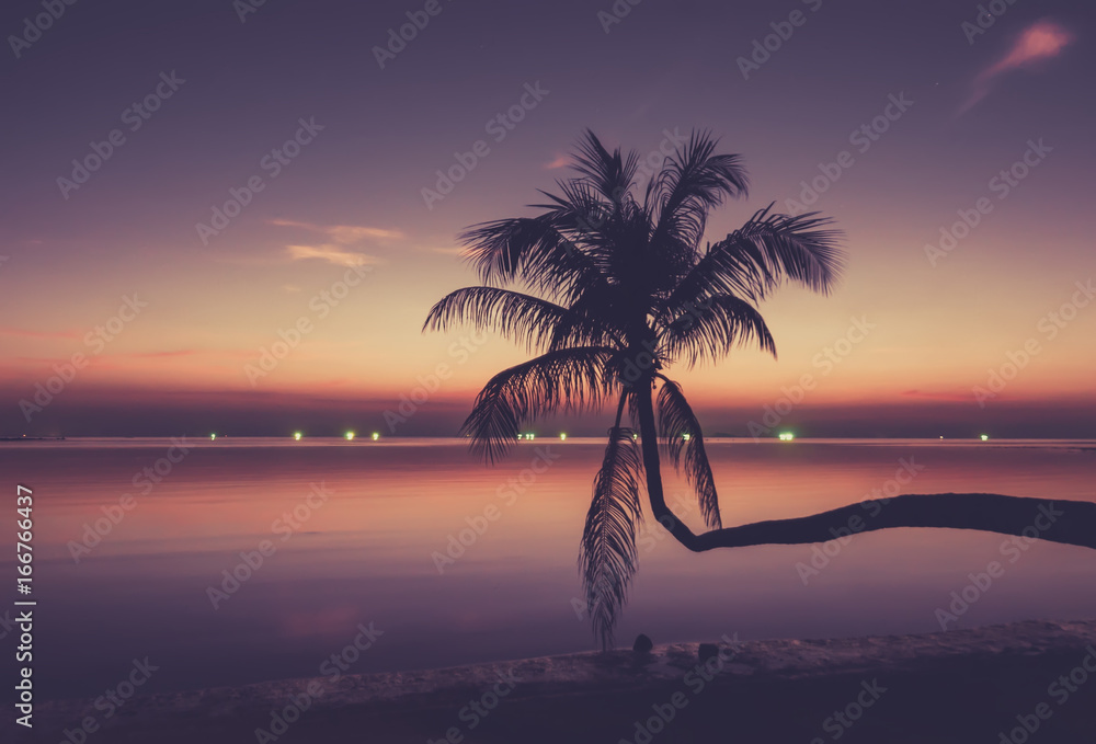 Sunset with a long palm tree over the water and glowing lights from the fishing boats, Thailand