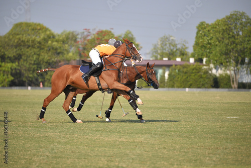 Horse Polo Player battle in game.