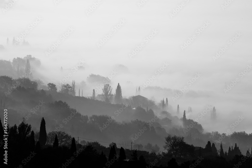 Fototapeta premium Fog and smoke covering a valley, with different layers of trees and some houses
