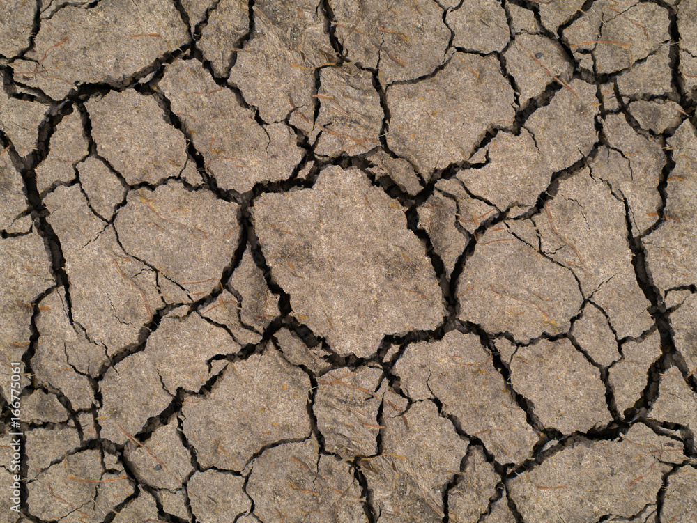 Dry soil in summer Dry soil in summer