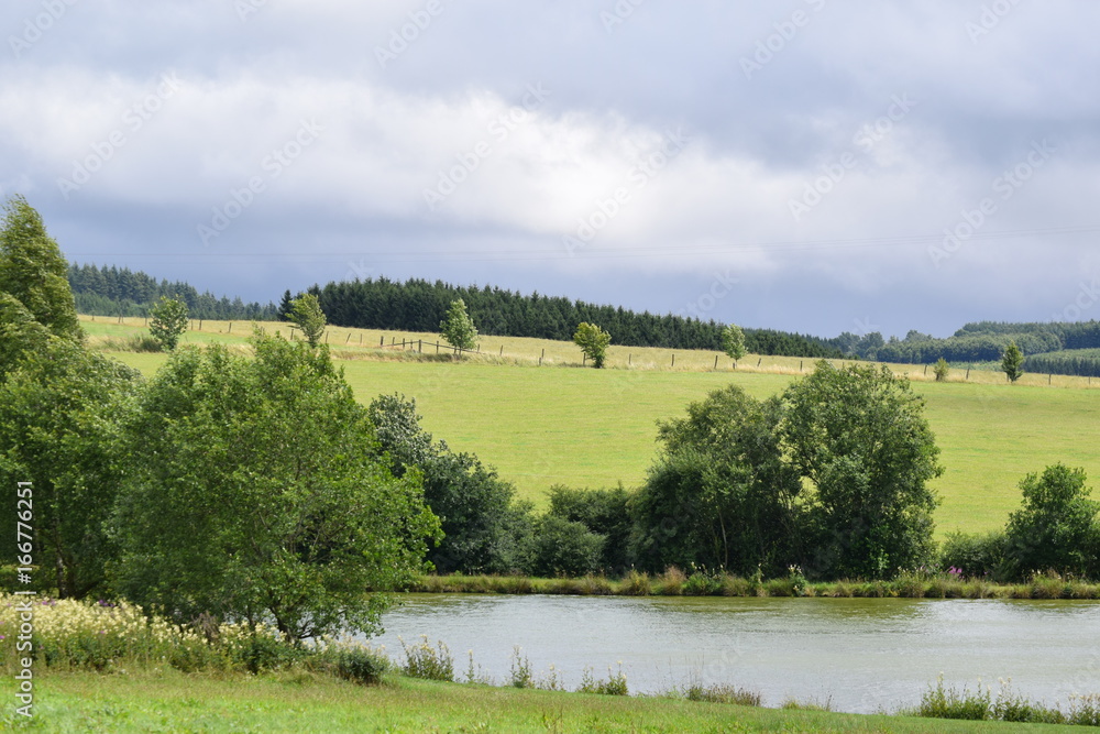 vue nature goucy au lac vue nature goucy au lac