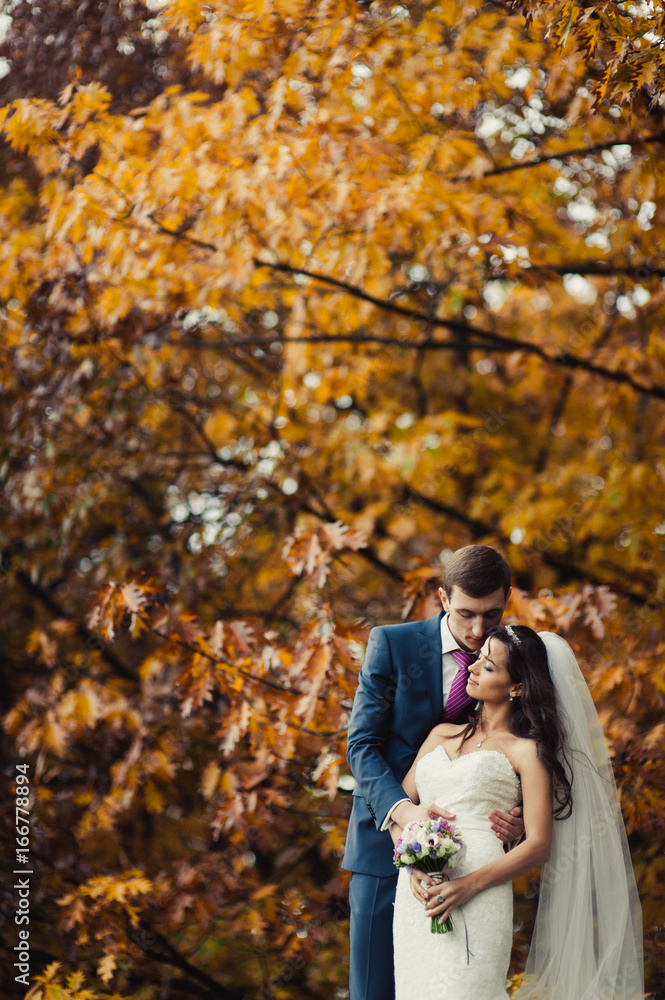 Beautiful wedding couple on a walk in autumn park Beautiful wedding couple on a walk in autumn park