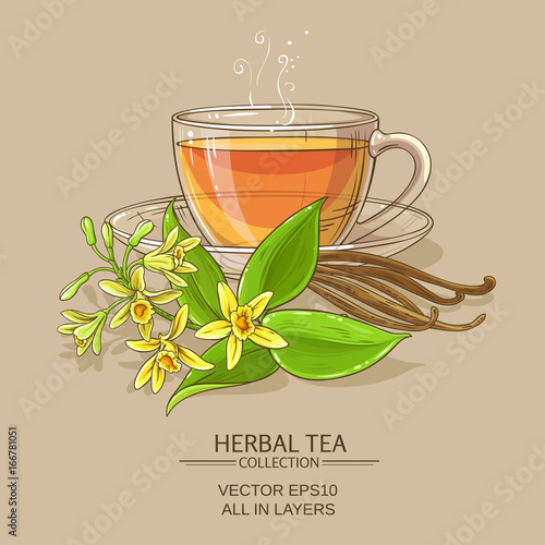 vanilla tea illustration